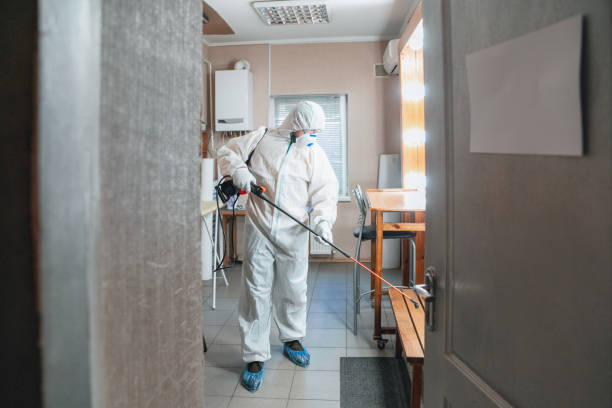 Reliable Pinetop Country Clu, AZ Mold Removal Solutions